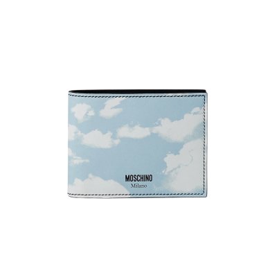 THE ARCHIVE CLOUDS WALLET